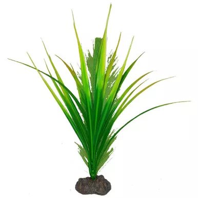 Betta Premium Yellow Parrot Plant