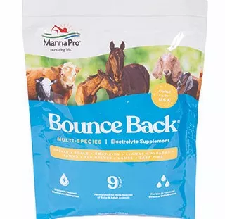 Bounce Back Multispecies Electrolyte Supplement