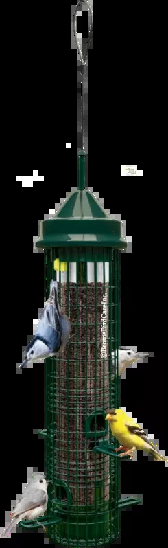 Brome Bird Care Squirrel Buster Classic (Green)