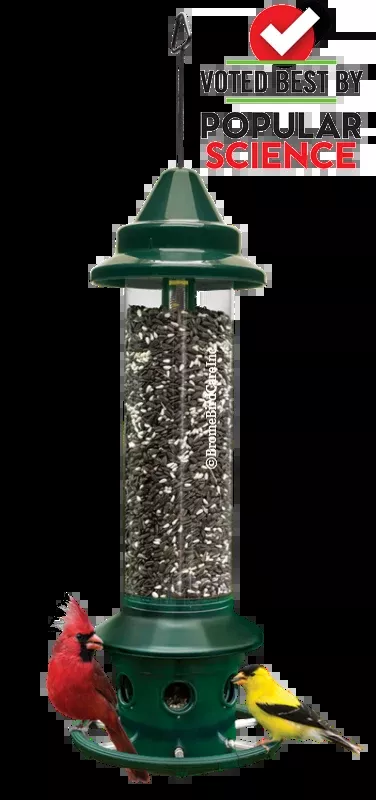 Brome Squirrel Buster Plus