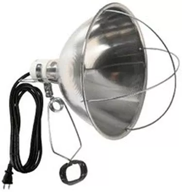 BROODER LIGHT 10 INCAND 8CORD 250 WATT
