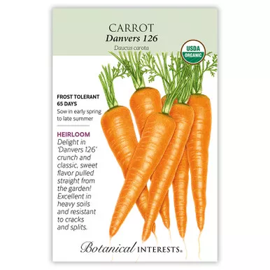 Danvers 126 Carrot Seeds - Organic, Heirloom