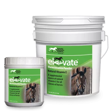 Elevate Maintenance Powder