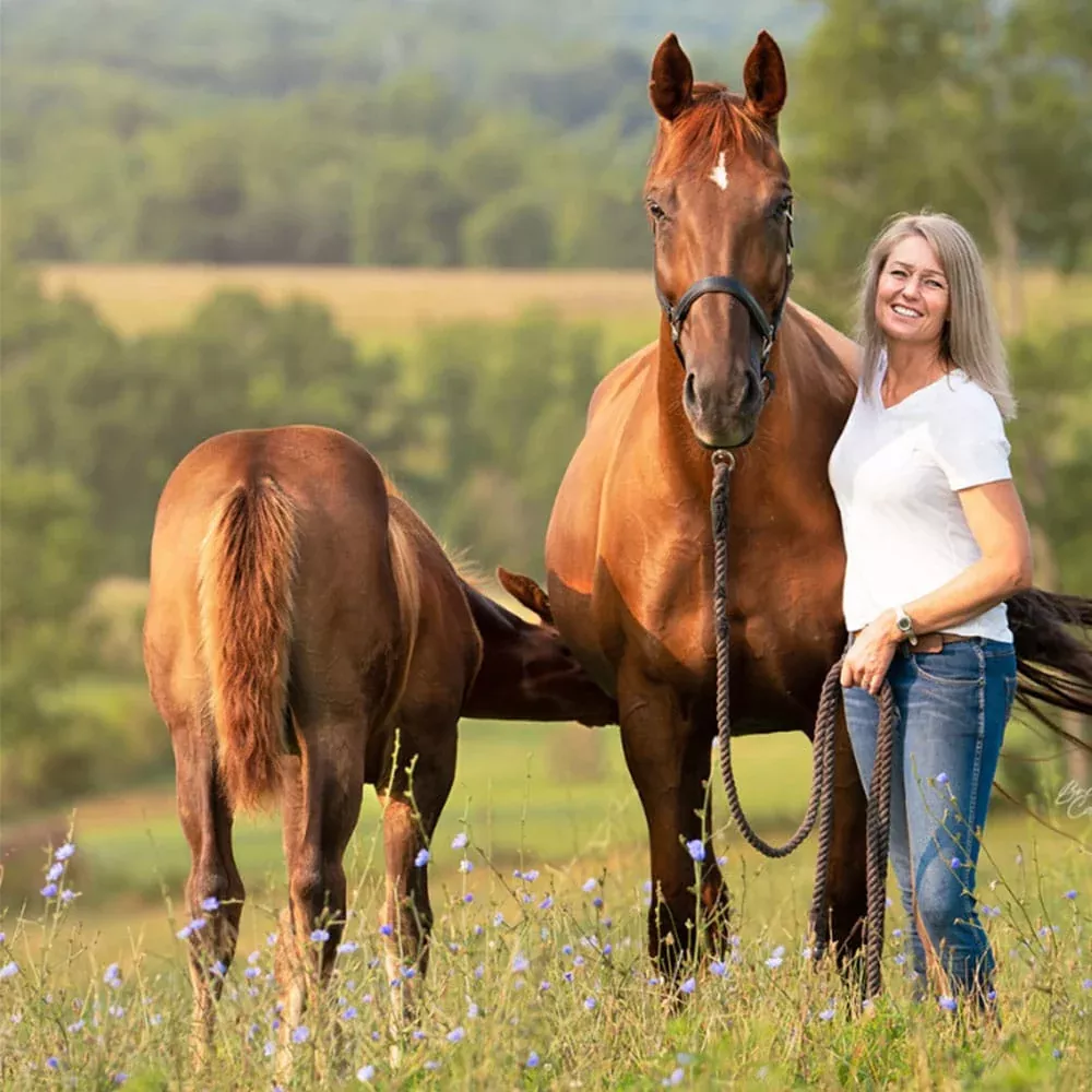 Excel Equine 15%