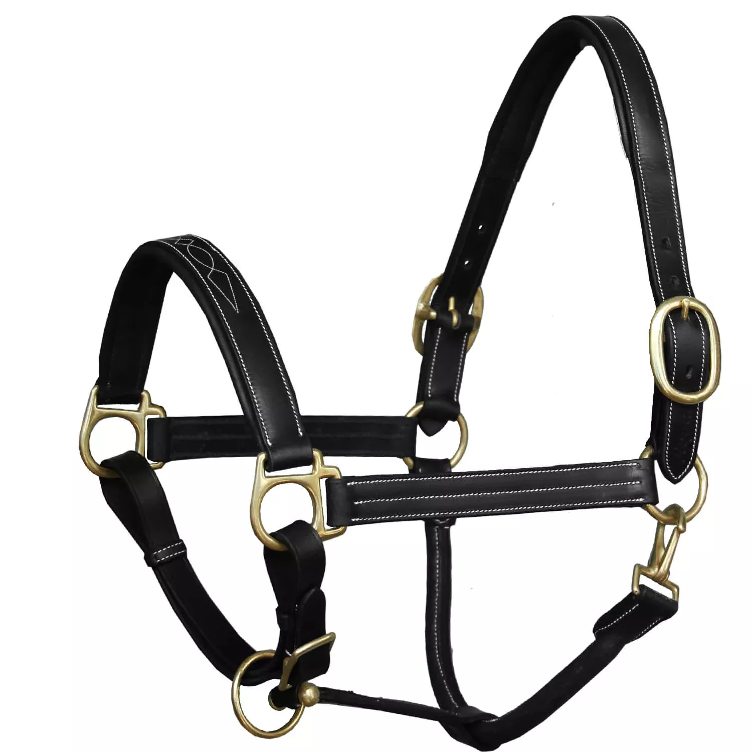 ExionPro Triple Stitched Halter - Brass Hardware