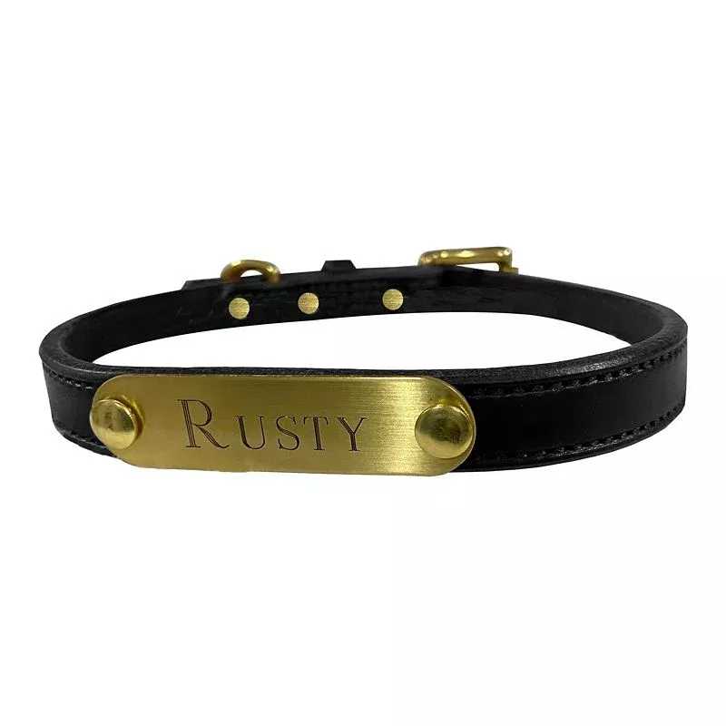Flat Leather Personalized Dog Collar