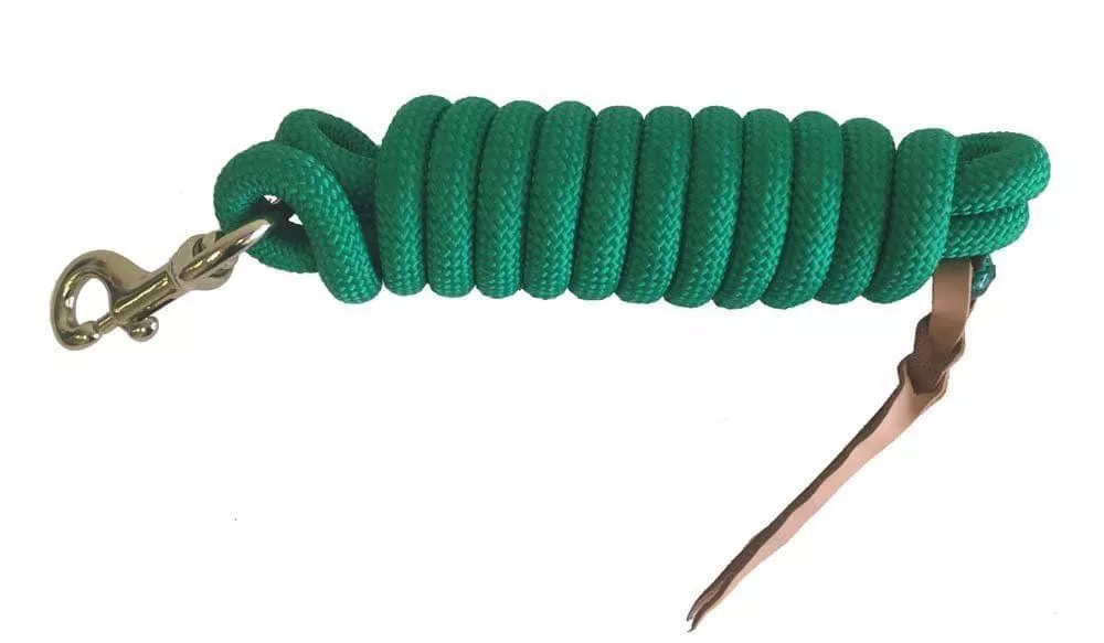 Formay 10 Foot Nylon Lead Rope