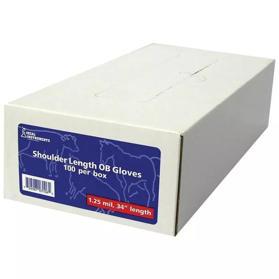 Ideal Shoulder length Disposable OB Glove