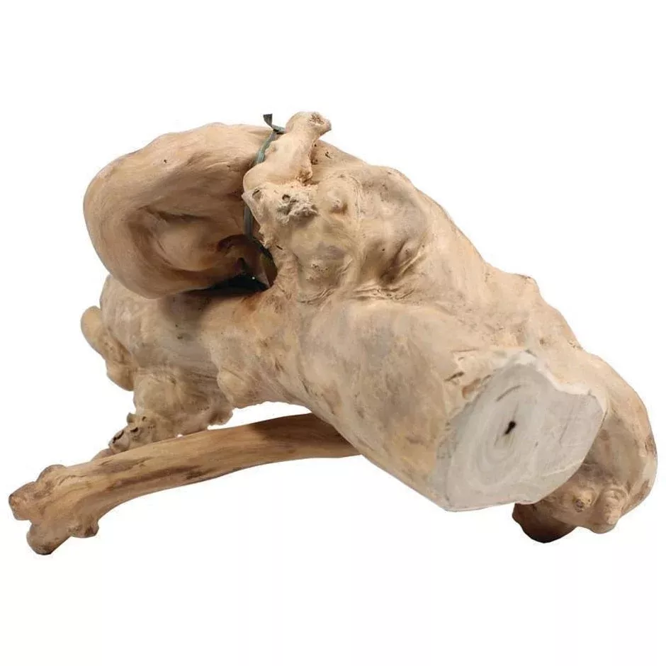 JAVA WOOD REPTILE BRANCH