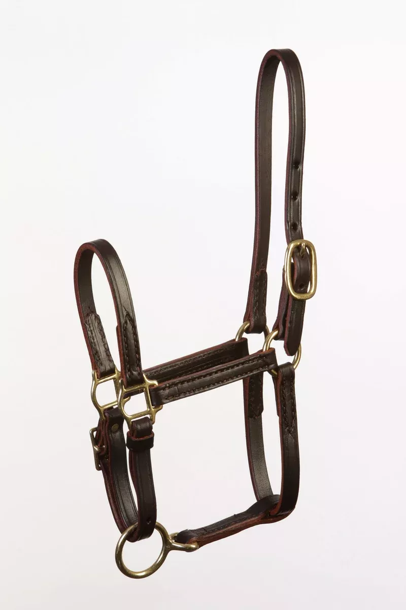Kentucky Handcrafted Large Foal Size Turnout Halter - Adjustable Chin