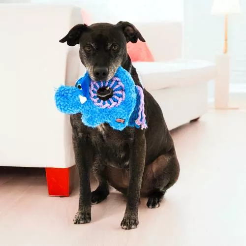 KONG Ringaroos Elephant Dog Toy