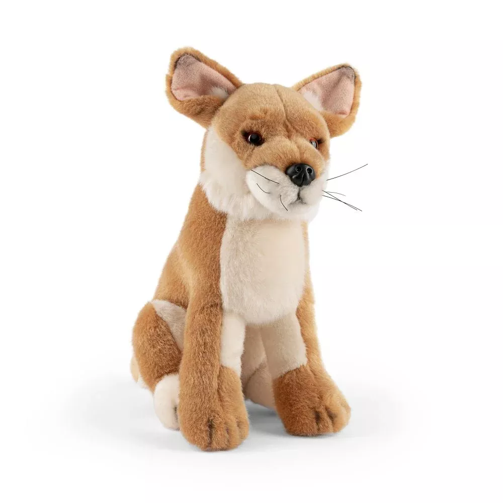 Living Nature Dingo