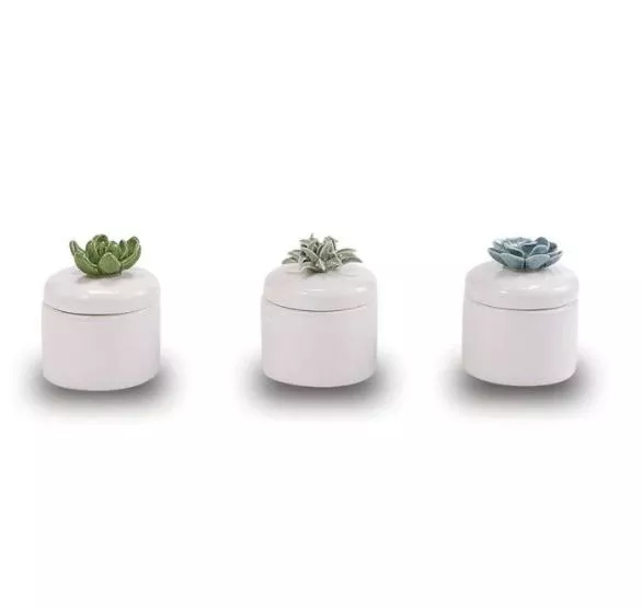 Mud Pie Succulent Citronella Candle