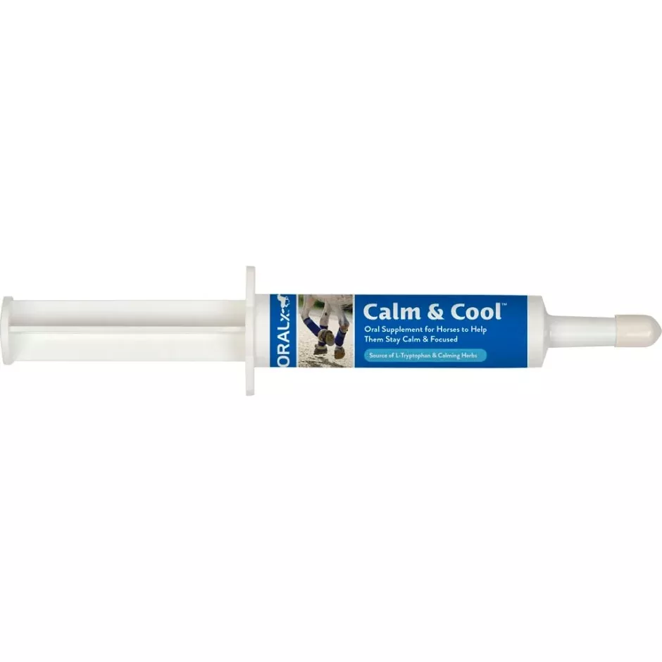ORALX CALM & COOL ORAL SUPPLEMENT PASTE