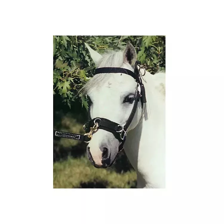 Ozark Mini Lunging/Driving Caveson