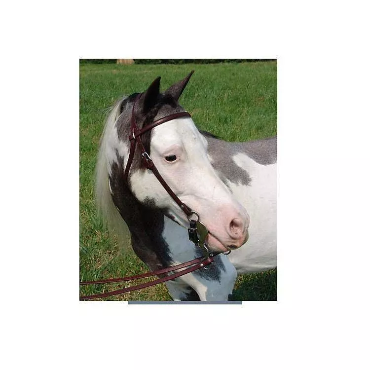 Ozark Mini Western Leather Bridle