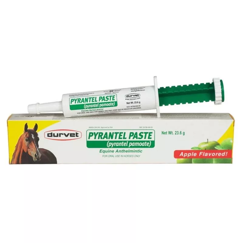 Pyrantel Pamoate Single Dose Paste Wormer (3.6g)