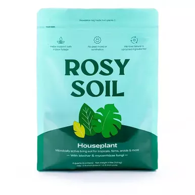 Rosy Soil Houseplant