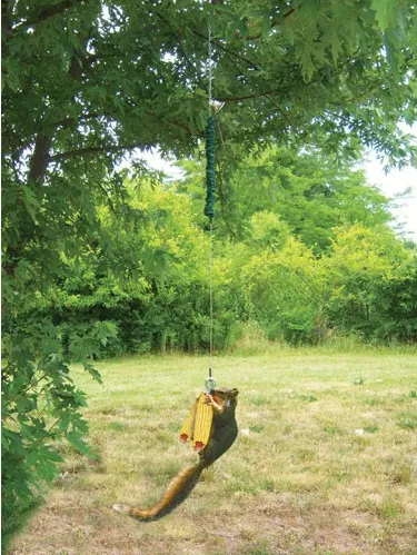 Squngee Squirrel Feeder