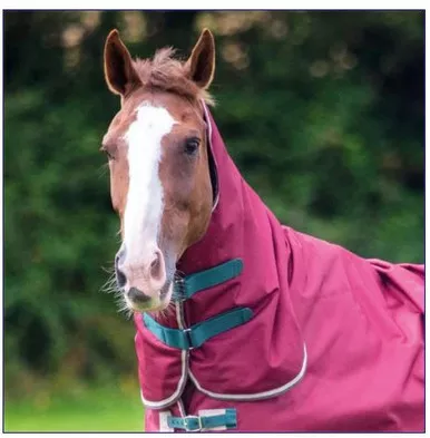 Tempest Original 200 Neck Cover
