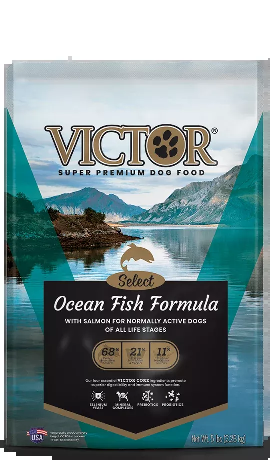 Victor Ocean Fish Formula with Salmon