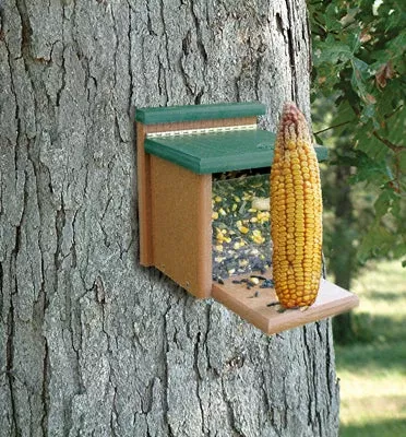 WoodLink Going Green Squirrel Munch Box