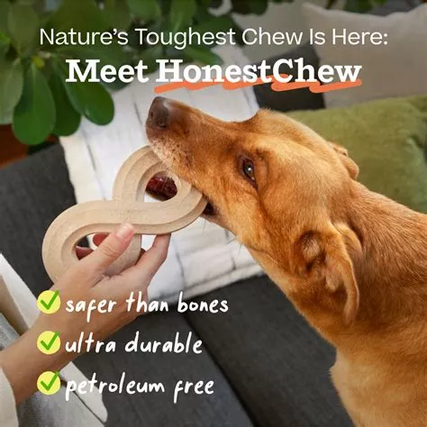 Woof Honest Chew- Infinity Bone- Medium